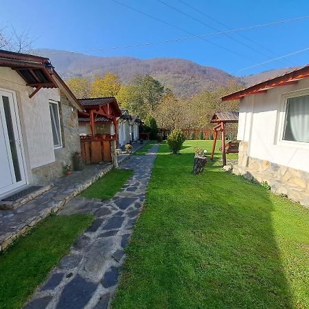 Villa Cabanute Alex Capalna Exterior foto